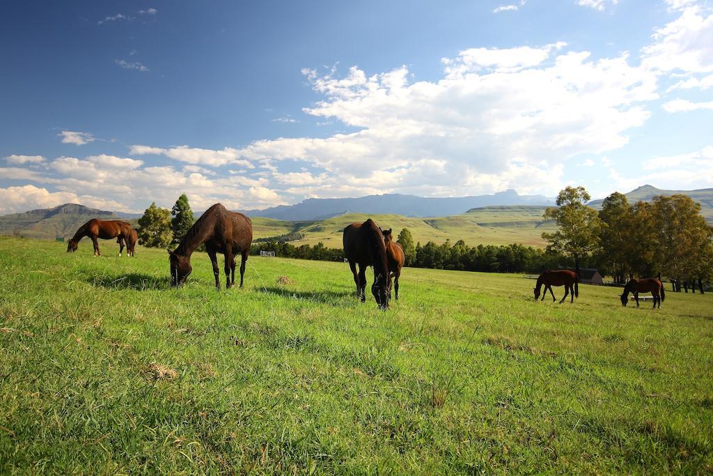Montusi Mountain Lodge Bonjaneni Екстер'єр фото